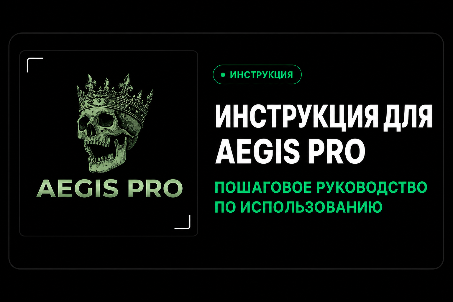 Инструкция для AEGIS (PUBG/ABI)